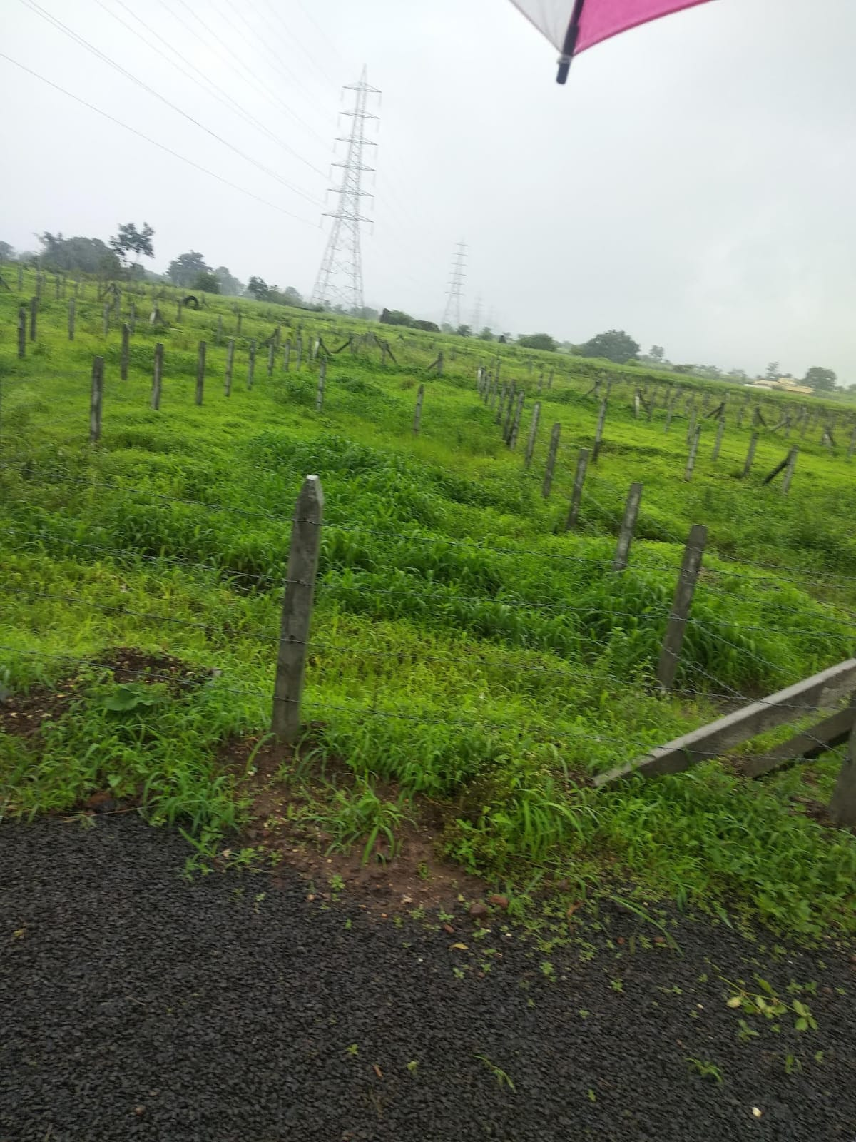 Kamshet Plot