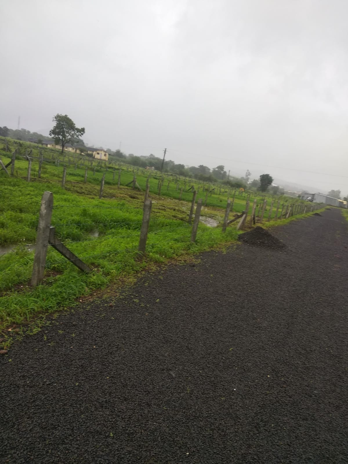 Kamshet Plot