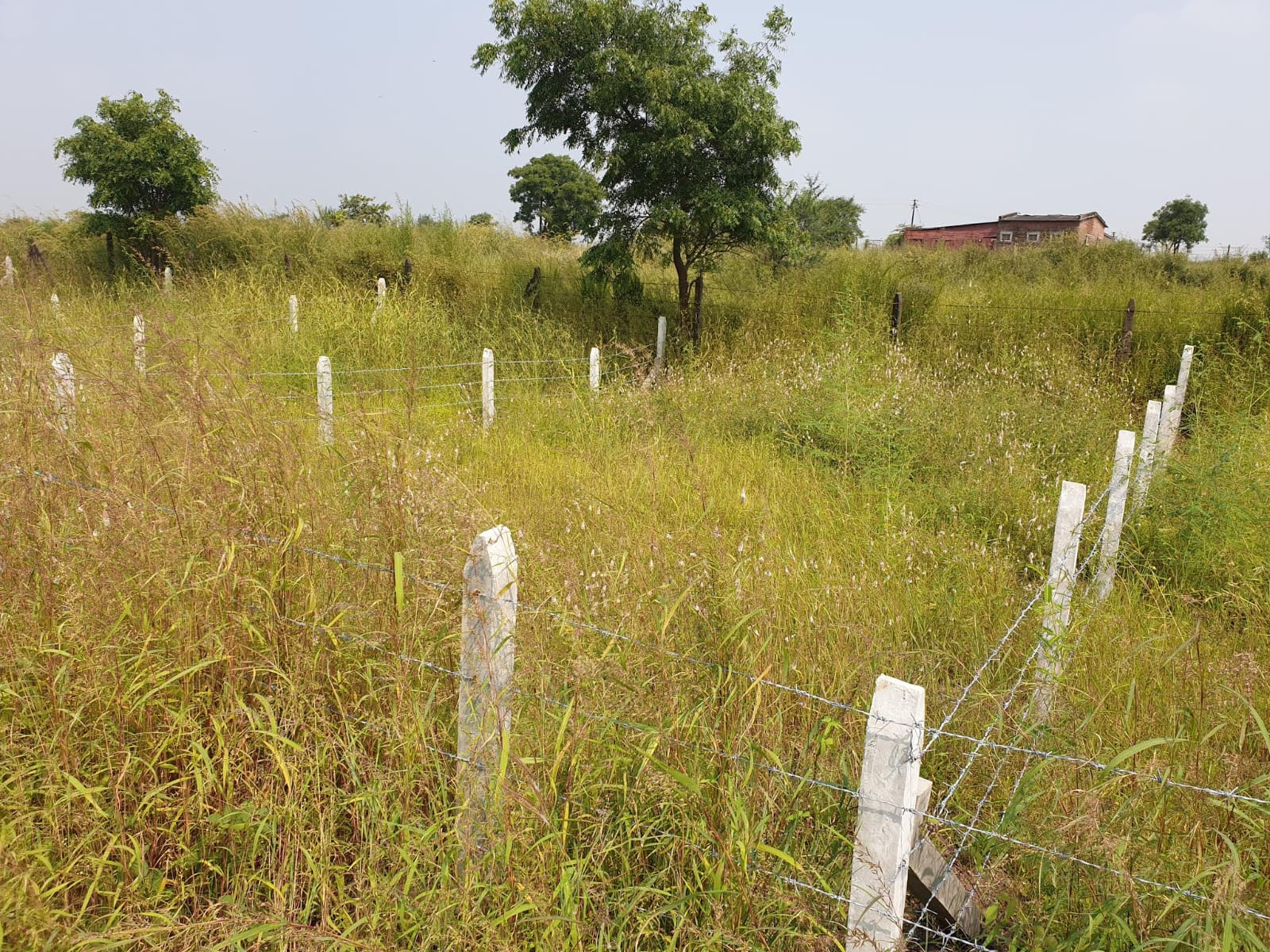 Kamshet Plot